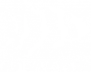 CodWaves logo with wordmark